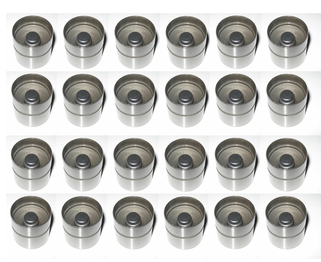 24 x Hydraulic Lifters for BMW E36 325i 6 Cyl M50
