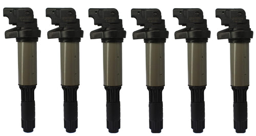 6 x Ignition Coil for BMW 525 530 540 E60 645 650 735 740 750 M3 X3 E83 Z3 Z4