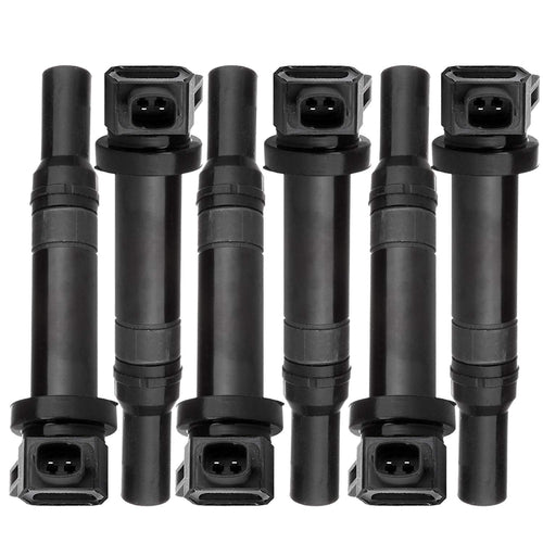 6 IGNITION COIL COILS for KIA CARNIVAL VQ 2.7L V6 06-11 27301-3E400 2 PIN PLUG