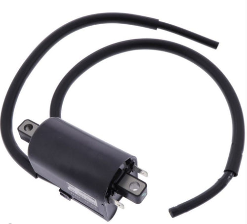 Ignition Coil for Multiple Models - Part Number 3LC8231001, OEM Spec