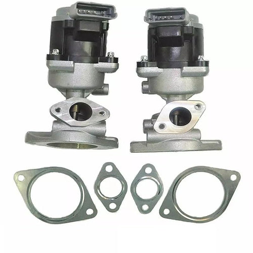 Ford Territory SZ 2.7 TDCI V6 EGR Valve Set L&R 2011-2014 Turbo Diesel Complete