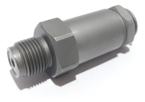 1110010008 Bosch Limiter Pressure Valve 1110010020 Diesel Spare Parts 1110010035