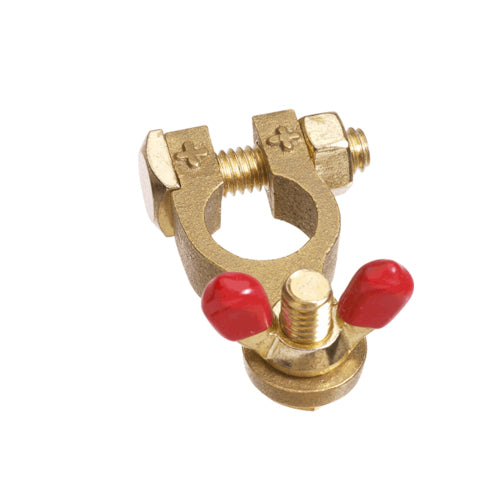 Projecta BT14-P1 Brass Batttery Terminal Positive – Wingnut